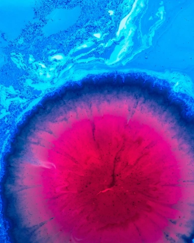 Abstrakt bild rosa blå