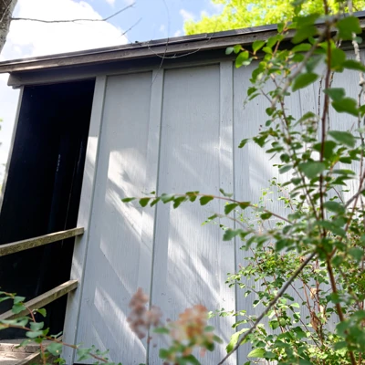 Camera Obscura