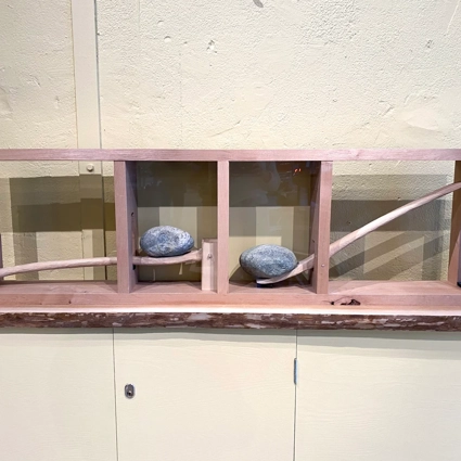 Enarmad hävstång experiment