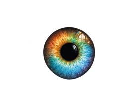 öga