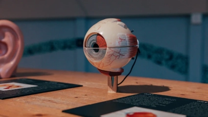 Ögat experiment