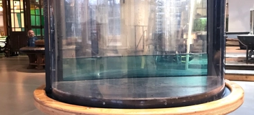 Experimentet Roterande vatten