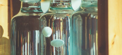 Experimentet Svävande äggen