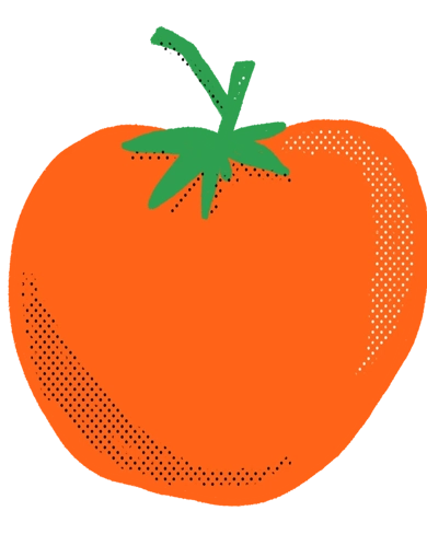 Tomat illustration