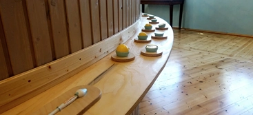 wooden model on table to show how a seed develops into seedling 