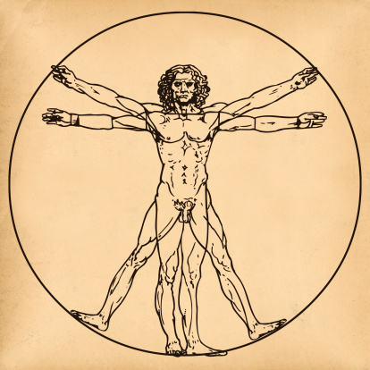 Leonardo da Vincis verk "Den vitruvianske mannen", illustration