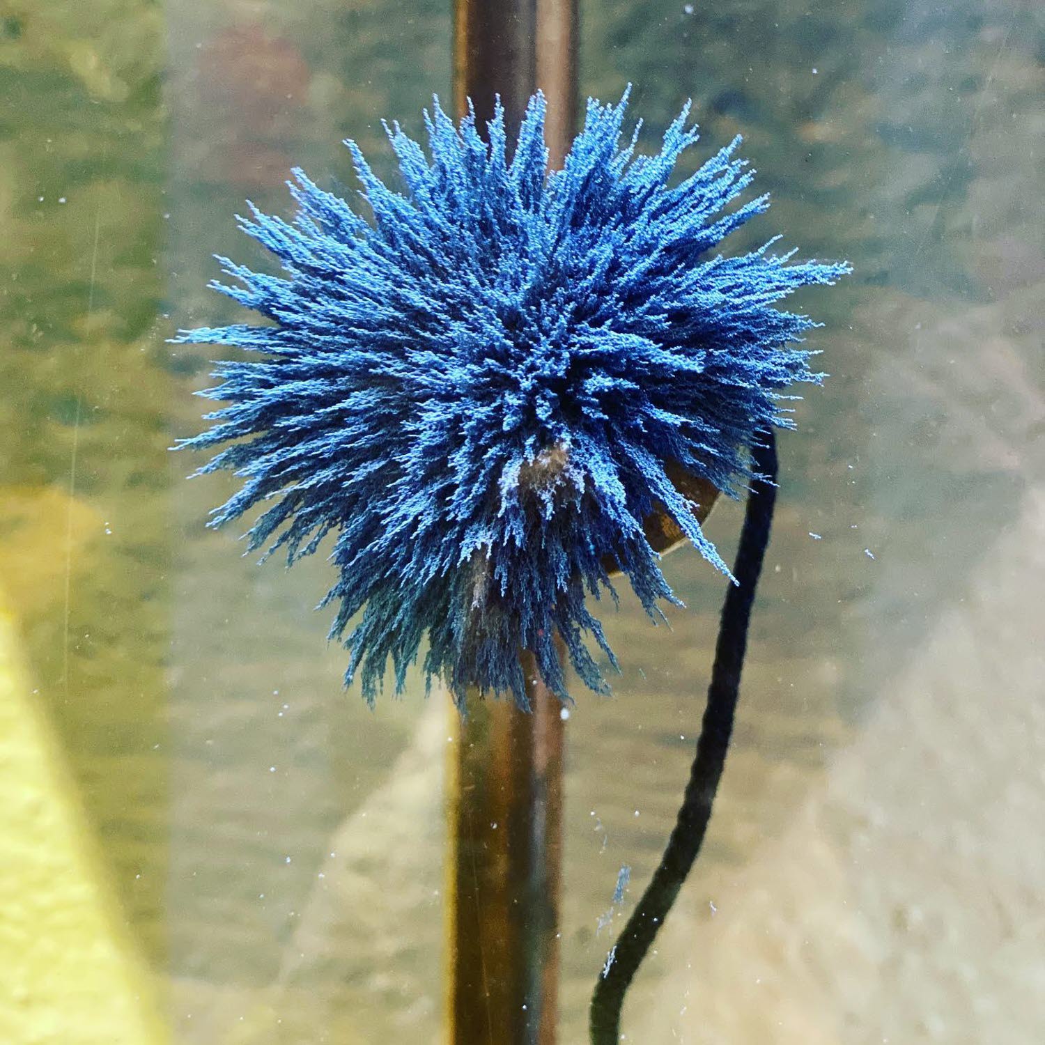 Experimentet Magnetfältet Experimentet Magnetfältet
