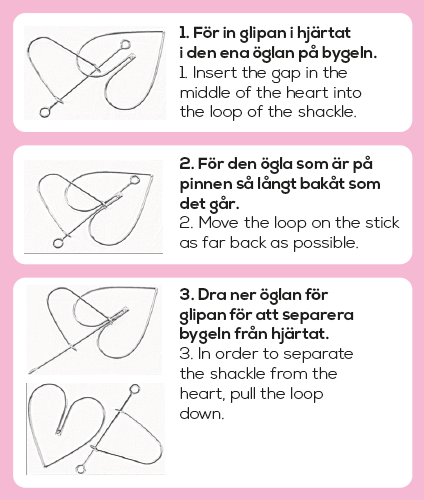 Facit till experimentet Leons skilsmässa, illustration