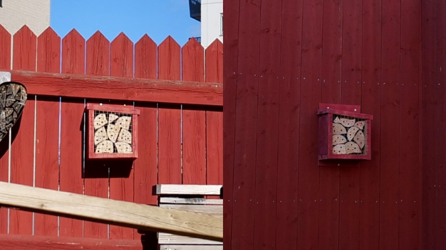 Två bihotell på en röd vägg, en i solen och en i skuggan