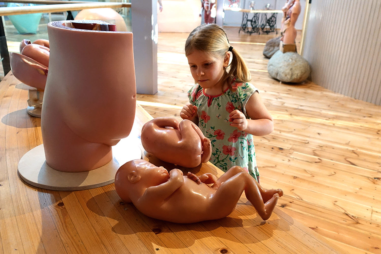 Ett barn tittar på en modell av ett foster