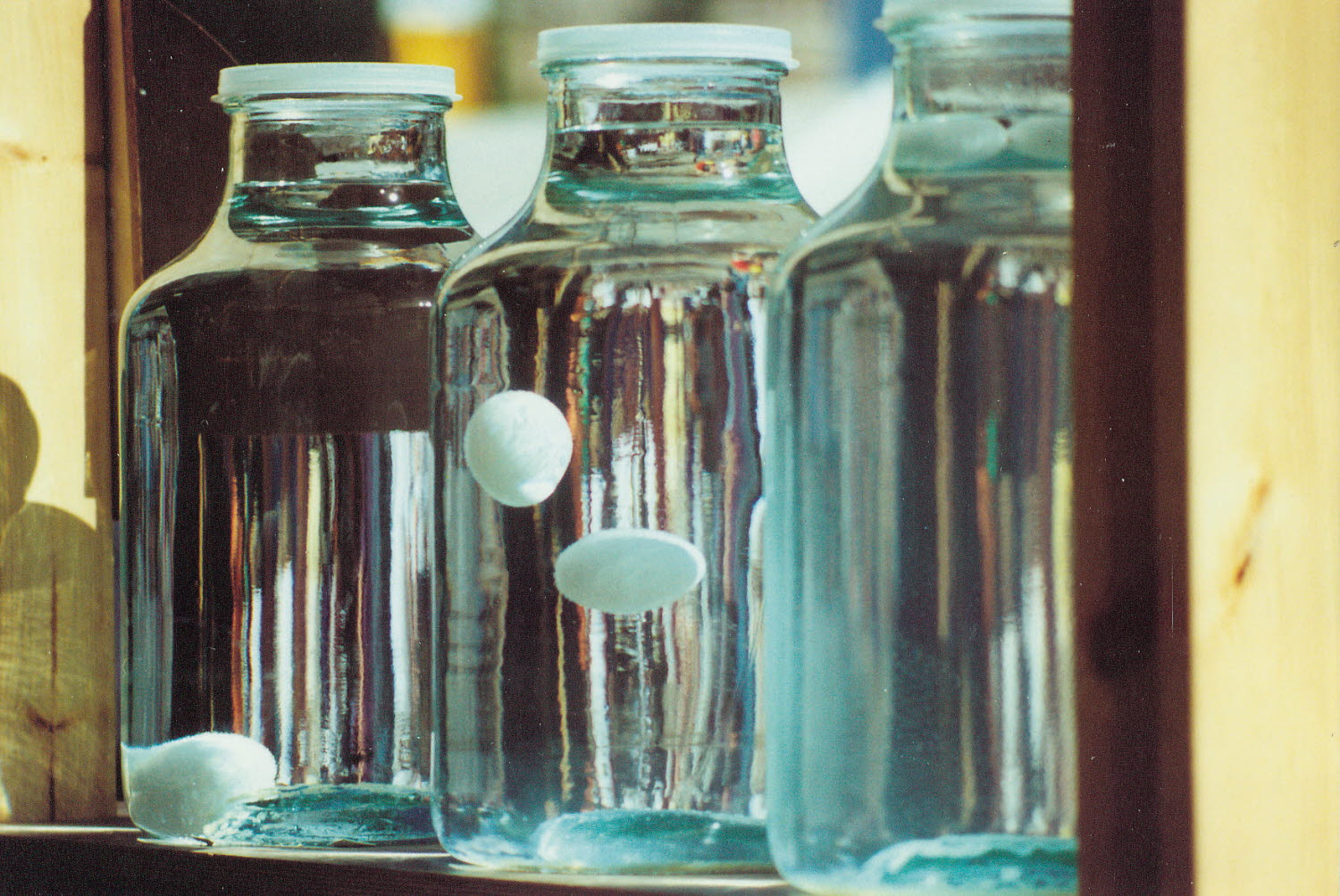 Experimentet Svävande äggen Experimentet Svävande äggen