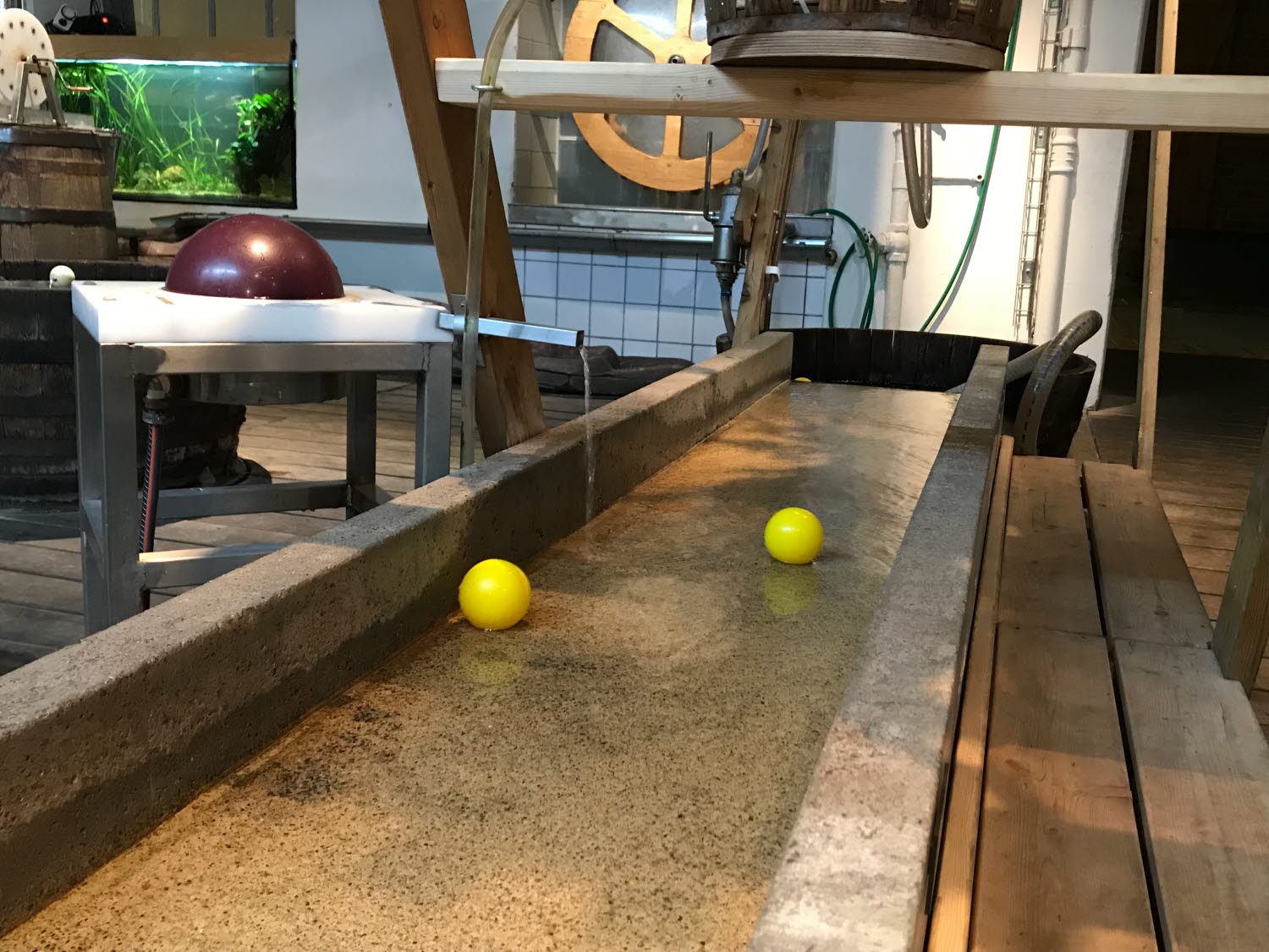 Två gula bollar som rinner genom vattenrännan